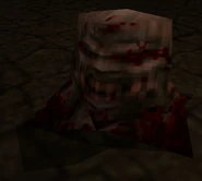 Ogre gibbed head.jpg (35 KB) Gibbed Head