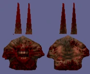 Texture map of the head