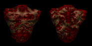 Texture Map for Ranger's torso