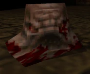 Scrag gibbed head.jpg (35 KB) Gibbed Head