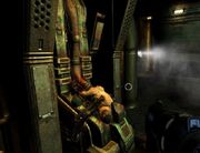 Torso unit at the Dispersal Facility