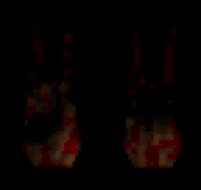 Texture map of second giblet