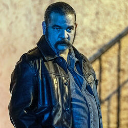 Pote Galvez Queen Of The South Wiki Fandom