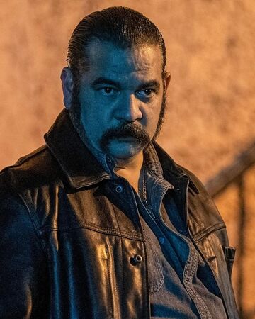 Queen Of The South Season 5 Queen Of The South Summer Tv Shows Tv On The Radio