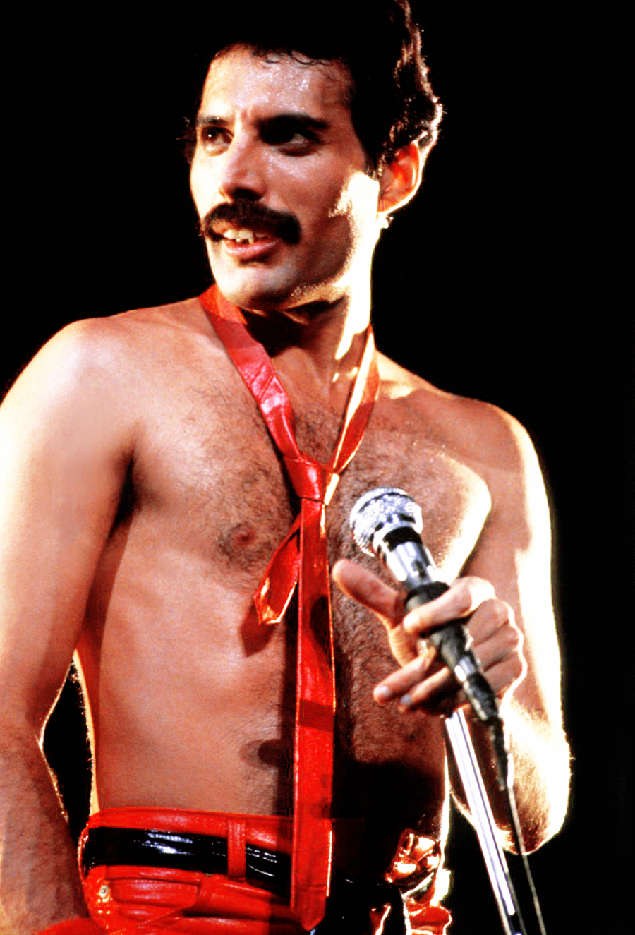 Freddie Mercury Queen Info Database Fandom