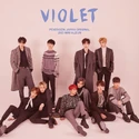 Violet (2018.01.17)