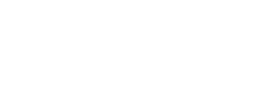 Viviz logo