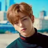 Stray Kids Woojin profile
