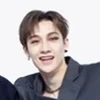 Stray Kids Bang Chan profile