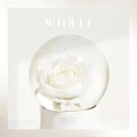 "White" (2019.12.06)