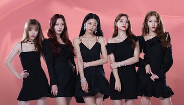 AOA | Queendom/Kingdom Wiki | Fandom