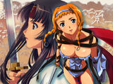 Queen's Blade: Wandering Warrior