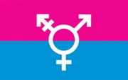Michelle Lindsay's Trans Flag
