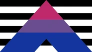 Bi ally flag