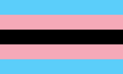 The Black/POC Trans Flag