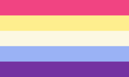 They/Them lesbian flag by unknown user