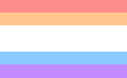 Non-LGBTQ+ ally flag