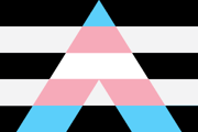 Trans ally
