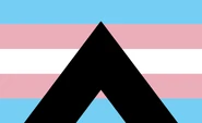 Cisgender ally flag