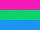 Polysexual