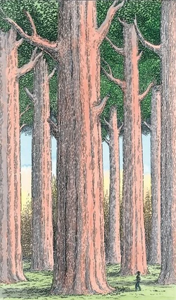 Mondo dei mulefa foresta