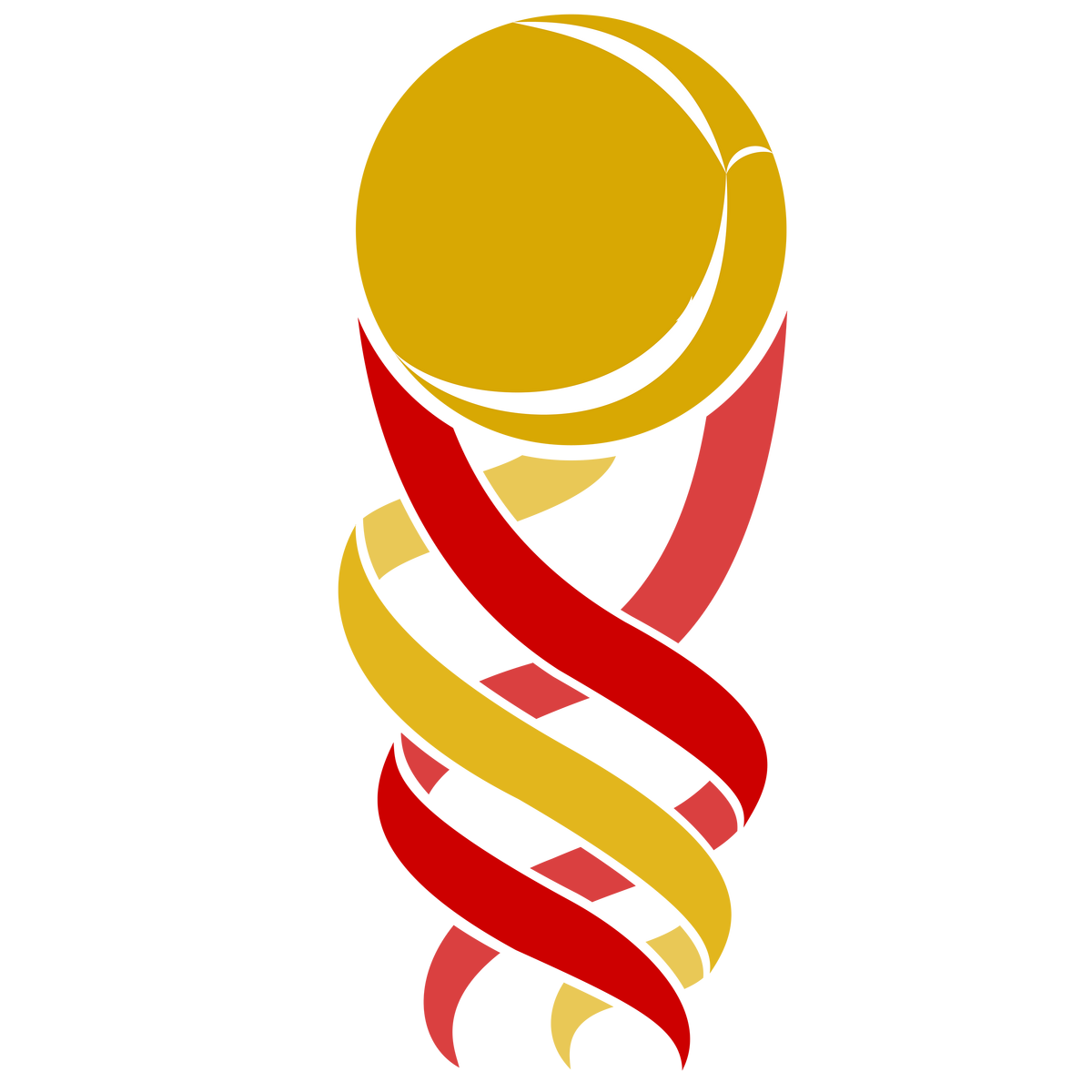 Copa de España 2024 Wiki Quadball Fandom