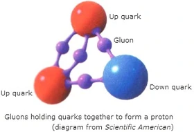 Gluón | Química | Fandom