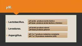 Factores-fisicoqumicos-que-afectan-el-proceso-de-fermentacion-12-638