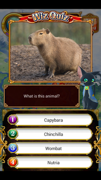 What is this animal? (Capybara)