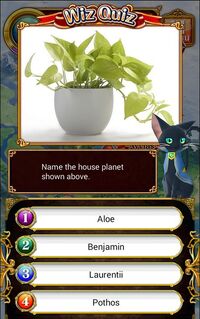 Name the house planet shown above. (Pothos)