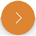 Skip Button.png