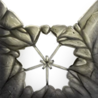 Quotev Blossomclan Wiki