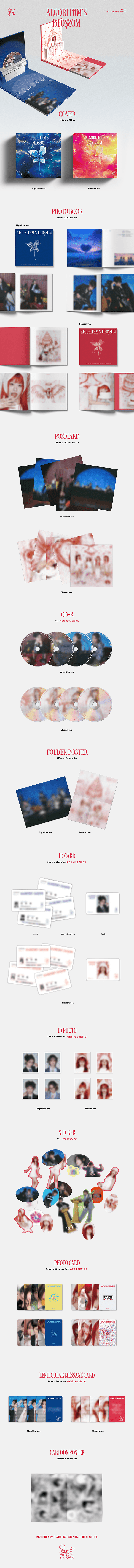 QWER Algorithms Blossom シヨン トレカ ヨントン BUNJANG] qwer 'Algorithm Blossom' siyeon Album photocard