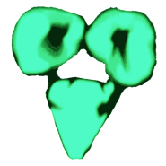 XE-1's oldest design.