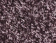 404lo.png (624 KB) A-404 surrounded by its particles.