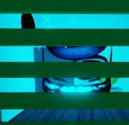 Blue little yeehawer / Ditto.