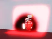 Bob-4581.webp (26 KB) A clear image of Bob.