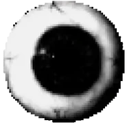 Eye.webp (32 KB) S-90's Eye Origin.