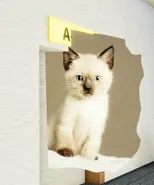 CUTE!-10 entering a room.