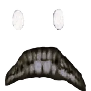 A possible fourth face origin.