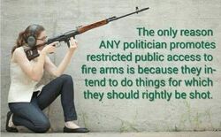 Guns.jpg