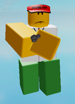 2009gunaim.png