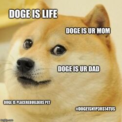 Dogeeeeee.jpg