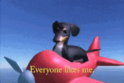 EverybodyLikesMeh.gif