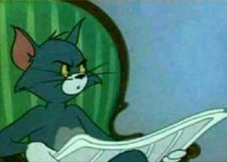 Tom.png