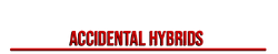 Hybridbar.png