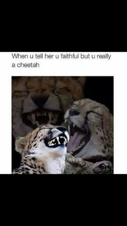 When u tell her u faithful but u really a cheetah.jpg