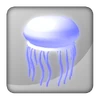 Jellyfish (2)