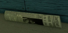 Newspaper.