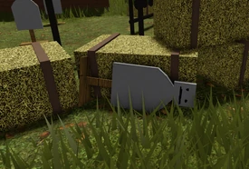 Target with the bb:r dummy face.